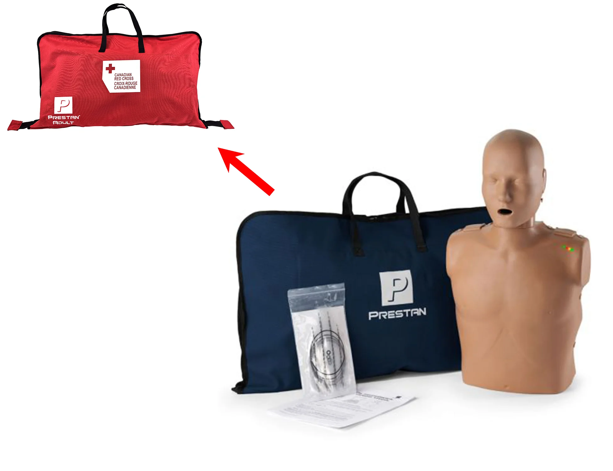 PRESTAN Professional Adult Manikin - Image 2