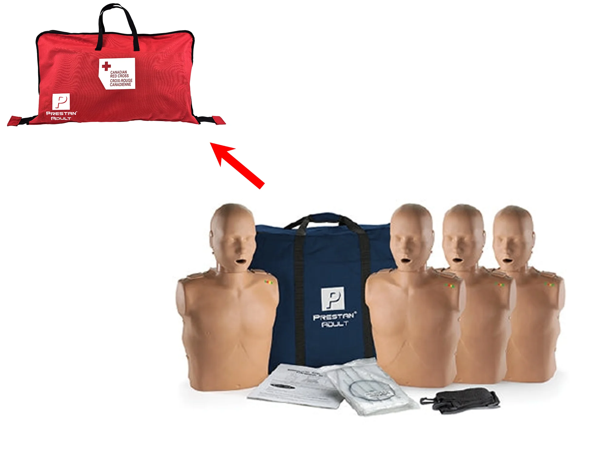 PRESTAN Professional Adult Manikin - Image 3