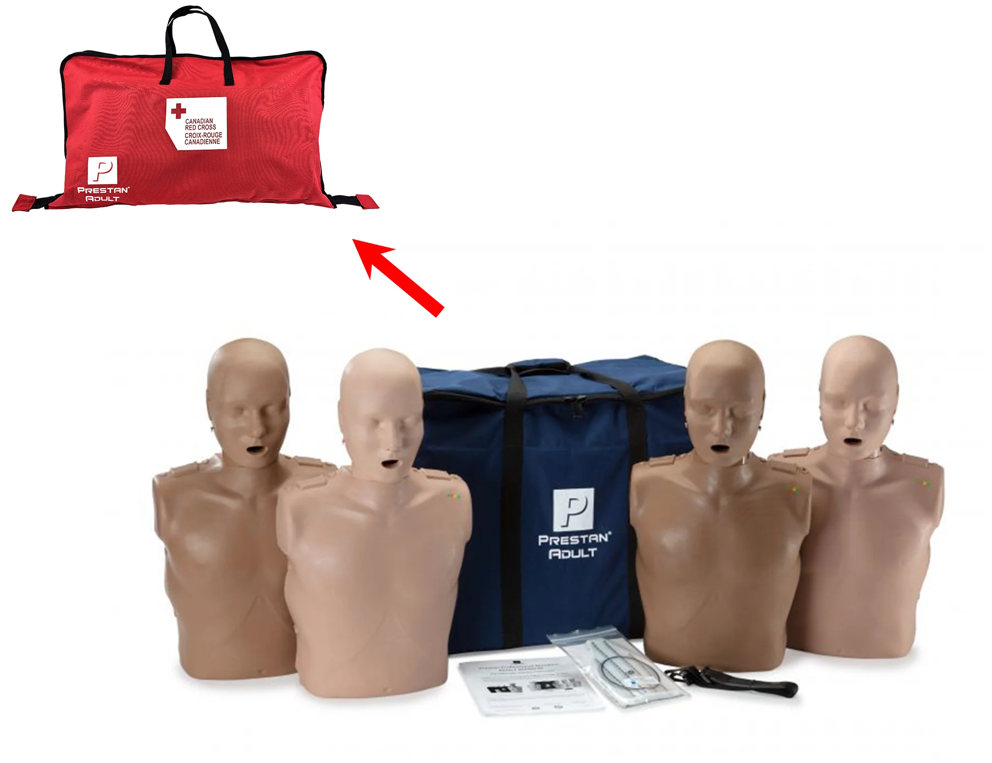 PRESTAN Professional Adult Manikin - Image 4