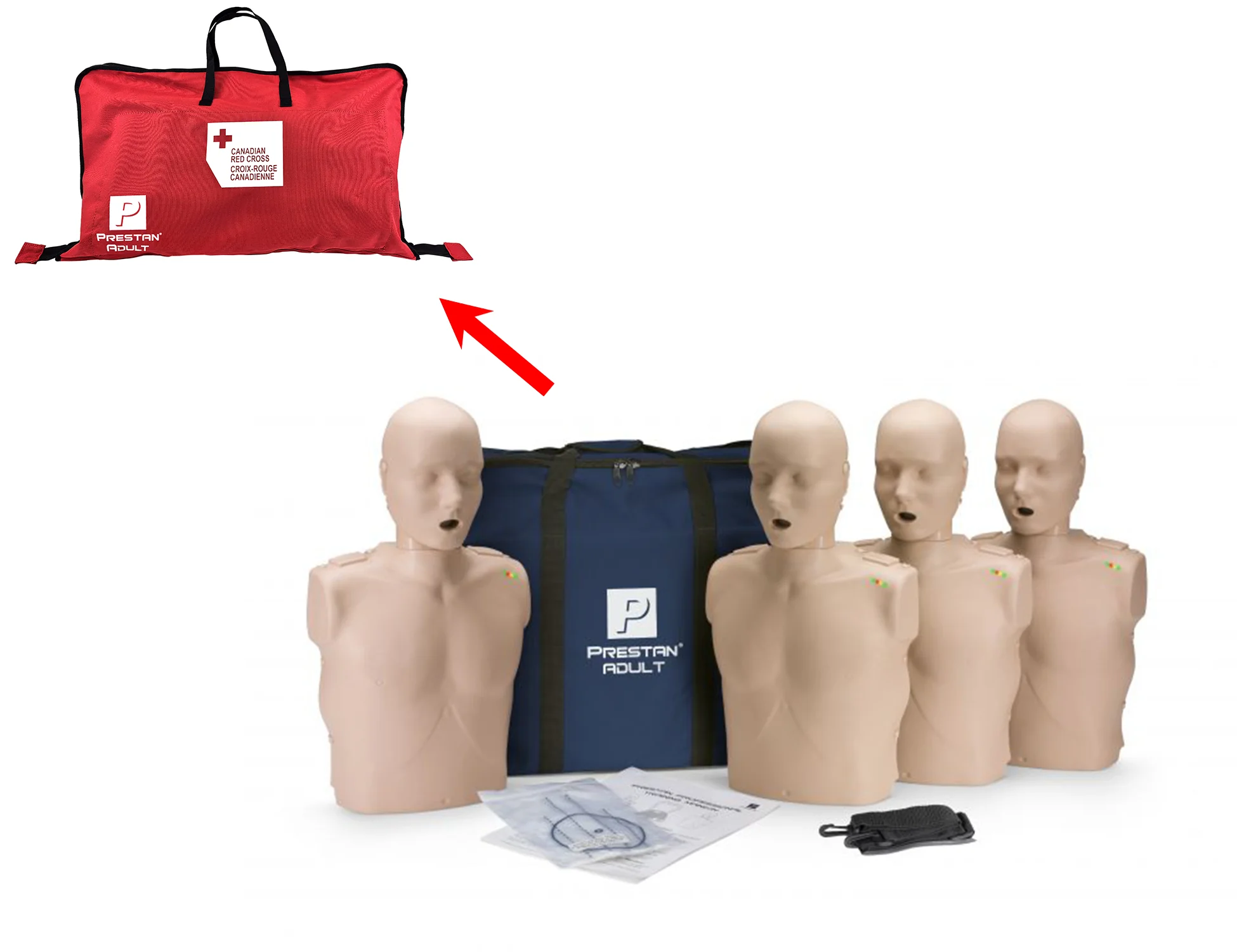 PRESTAN Professional Adult Manikin - Image 5
