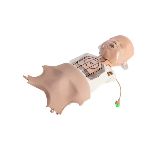 PRESTAN Ultralite® Infant Manikin - Image 2